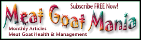 Meat Goat Mania