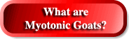 MyotonicBottom